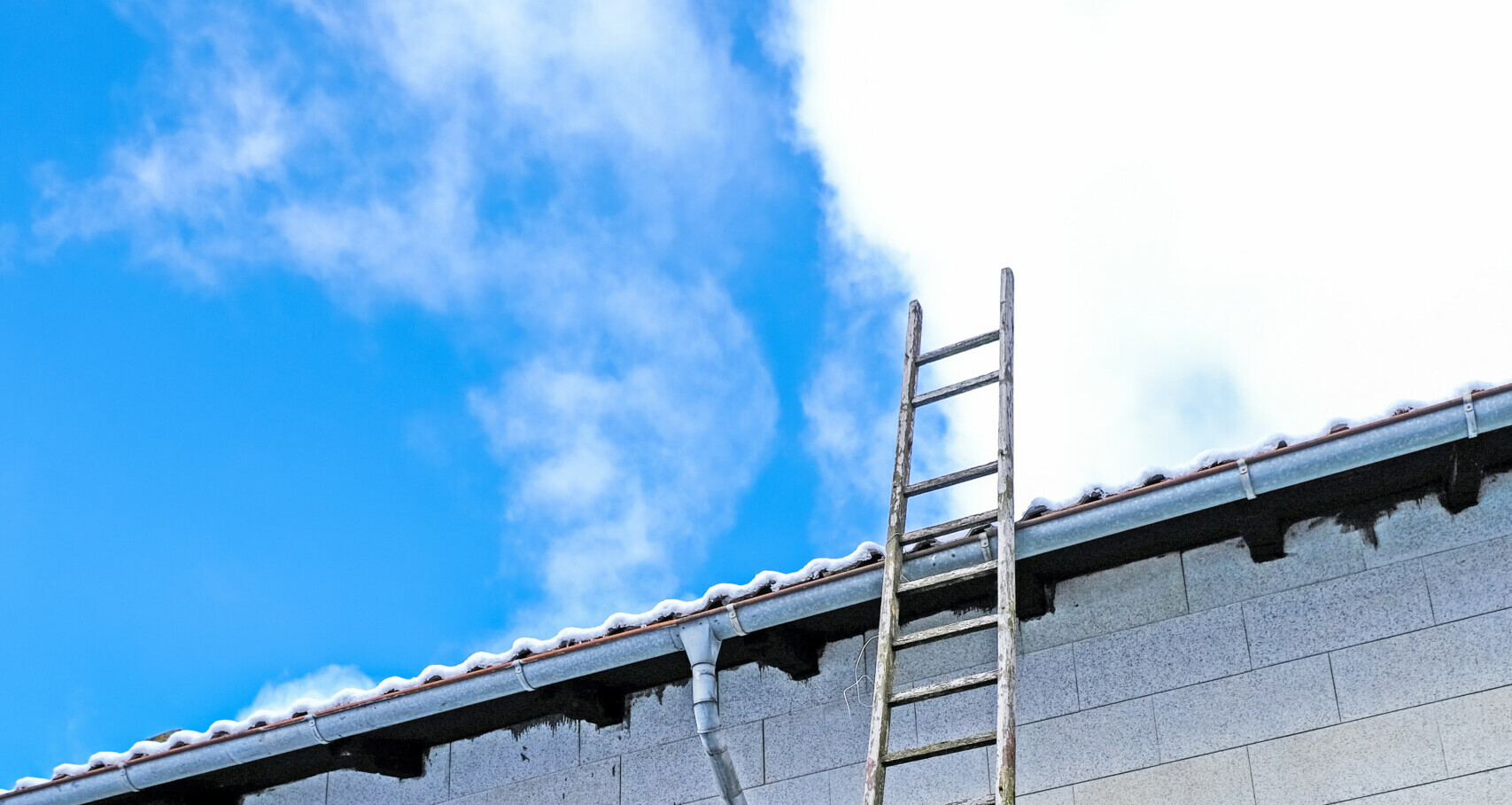 Foto: Hermann Nickel